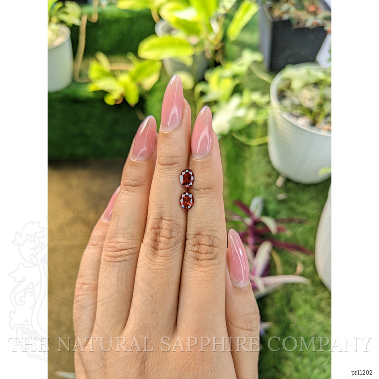 1.63 Ct.Tw. Garnet Pair from Ceylon (Sri Lanka)