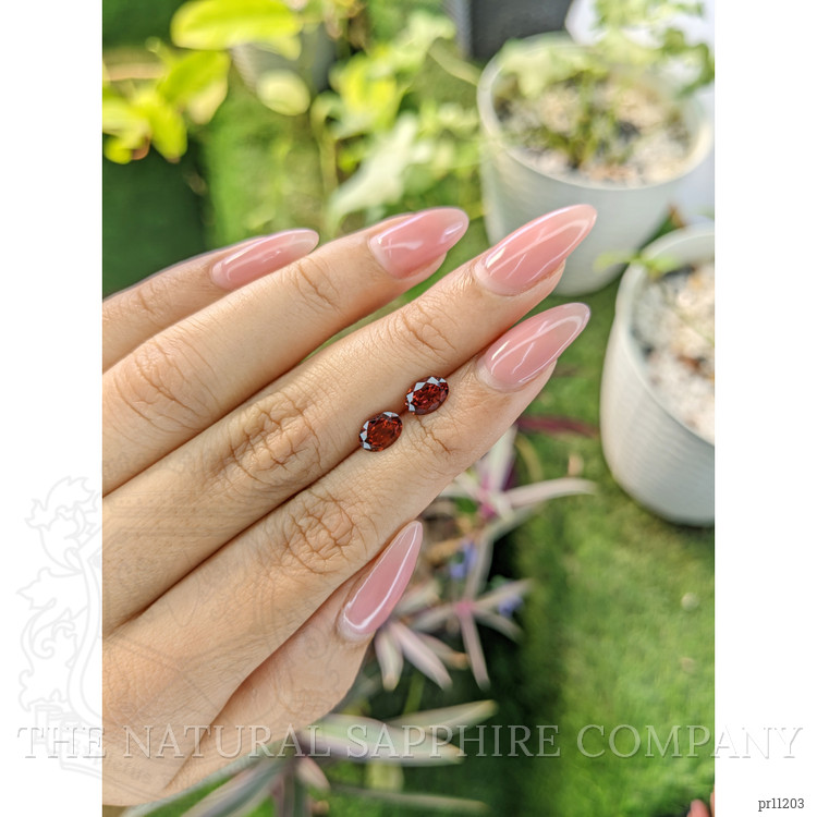 1.72 Ct.Tw. Garnet Pair from Ceylon (Sri Lanka)