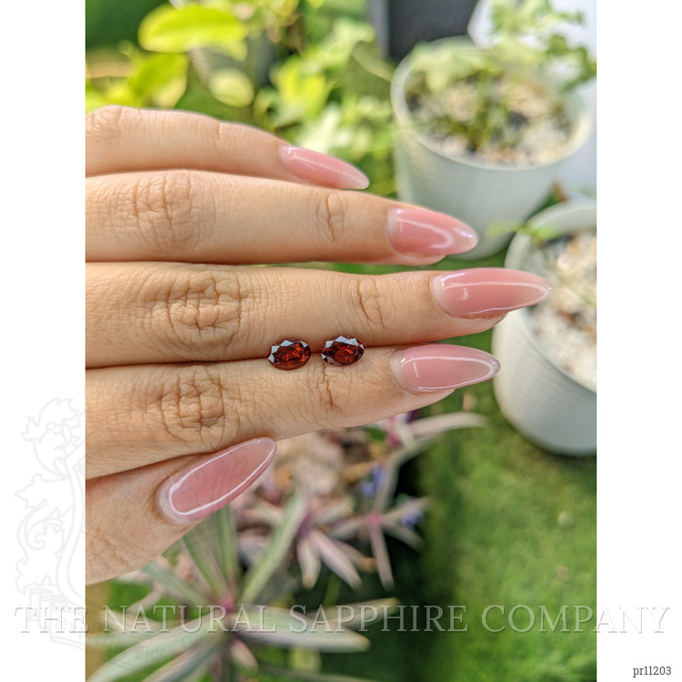 1.72 Ct.Tw. Garnet Pair from Ceylon (Sri Lanka)