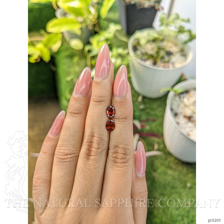 1.72 Ct.Tw. Garnet Pair from Ceylon (Sri Lanka)