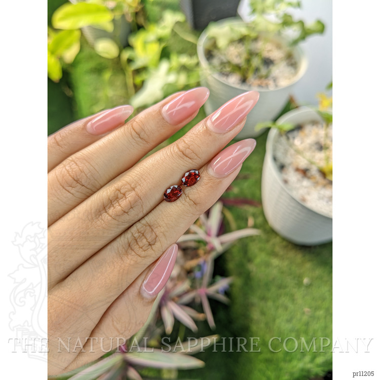 1.64 Ct.Tw. Garnet Pair from Ceylon (Sri Lanka)