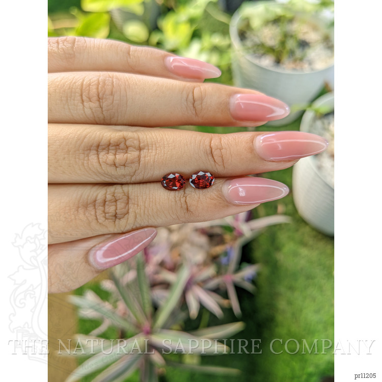 1.64 Ct.Tw. Garnet Pair from Ceylon (Sri Lanka)