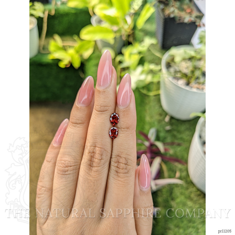 1.64 Ct.Tw. Garnet Pair from Ceylon (Sri Lanka)