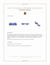 2.90&nbsp;Ct.Tw.Total Carat Weight Blue Sapphire Pair from Ceylon (Sri Lanka) Appraisal