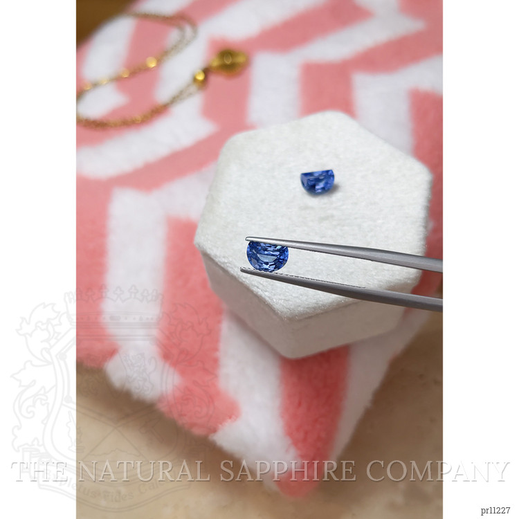 1.73 Ct.Tw. Blue Sapphire Pair from Ceylon (Sri Lanka)