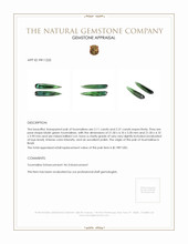 4.42 Ct.Tw.Total Carat Weight Bluish Green Tourmaline Pair from Brazil Appraisal