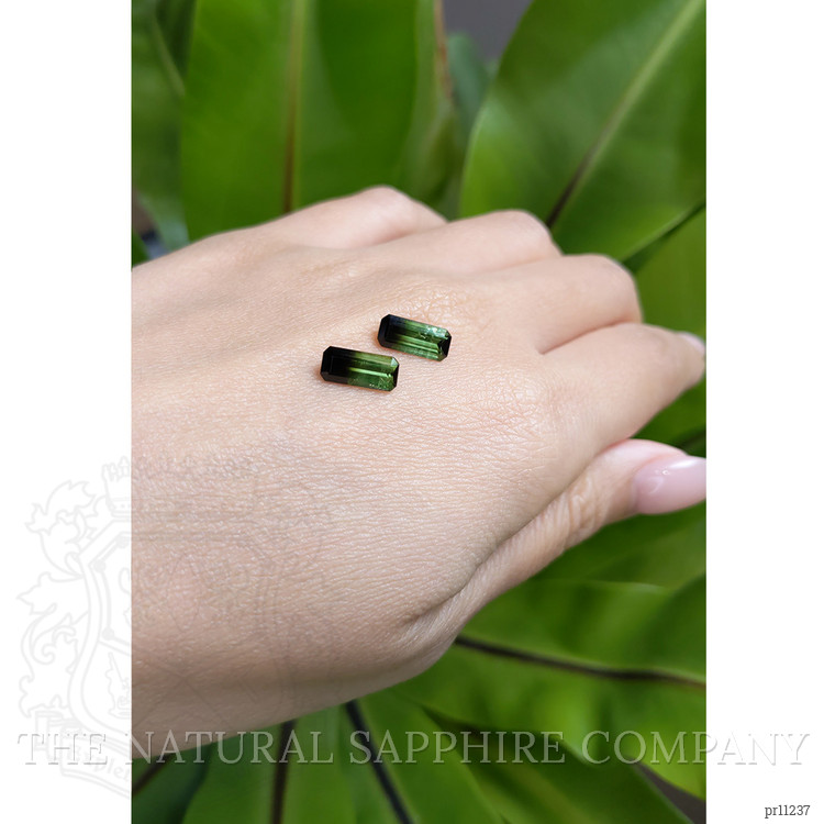 2.76 Ct.Tw. Tourmaline Pair from Brazil