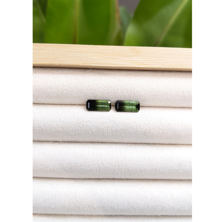 2.76 Ct.Tw. Tourmaline Pair from Brazil