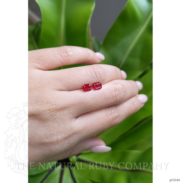 1.51 Ct.Tw. Ruby Pair from Mozambique