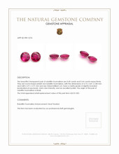0.84&nbsp;Ct.Tw.Total Carat Weight Rubellite Tourmaline Pair from Brazil Appraisal