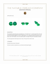 3.83 Ct.Tw.Total Carat Weight Emerald Pair from Zambia Appraisal