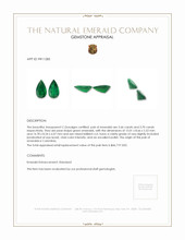 7.16 Ct.Tw.Total Carat Weight Emerald Pair from Colombia Appraisal