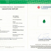 9.02&nbsp;Ct.Tw.Total Carat Weight Emerald Pair from Colombia Pdf