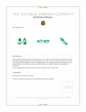 3.98 Ct.Tw.Total Carat Weight Emerald Pair from Colombia Appraisal