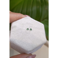 0.14&nbsp;Ct.Tw.Total Carat Weight Alexandrite Pair from Ceylon (Sri Lanka) Life Style