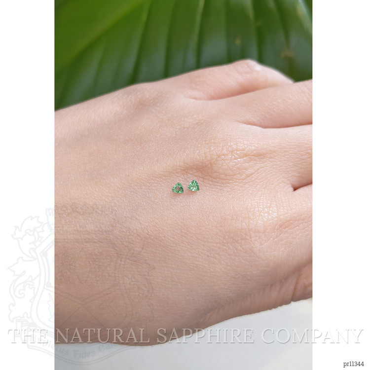 0.14 Ct.Tw. Alexandrite Pair from Ceylon (Sri Lanka)