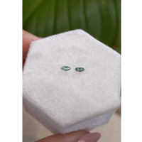 0.18&nbsp;Ct.Tw.Total Carat Weight Alexandrite Pair from Ceylon (Sri Lanka) Life Style