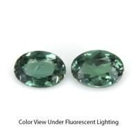 0.17&nbsp;Ct.Tw.Total Carat Weight Alexandrite Pair from Ceylon (Sri Lanka) Video