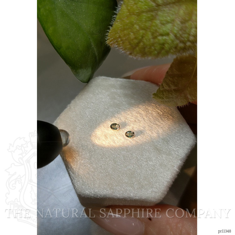 0.17 Ct.Tw. Alexandrite Pair from Ceylon (Sri Lanka)