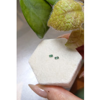 0.21&nbsp;Ct.Tw.Total Carat Weight Alexandrite Pair from Ceylon (Sri Lanka) Life Style