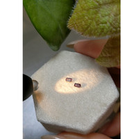 0.21&nbsp;Ct.Tw.Total Carat Weight Alexandrite Pair from Ceylon (Sri Lanka) Life Style