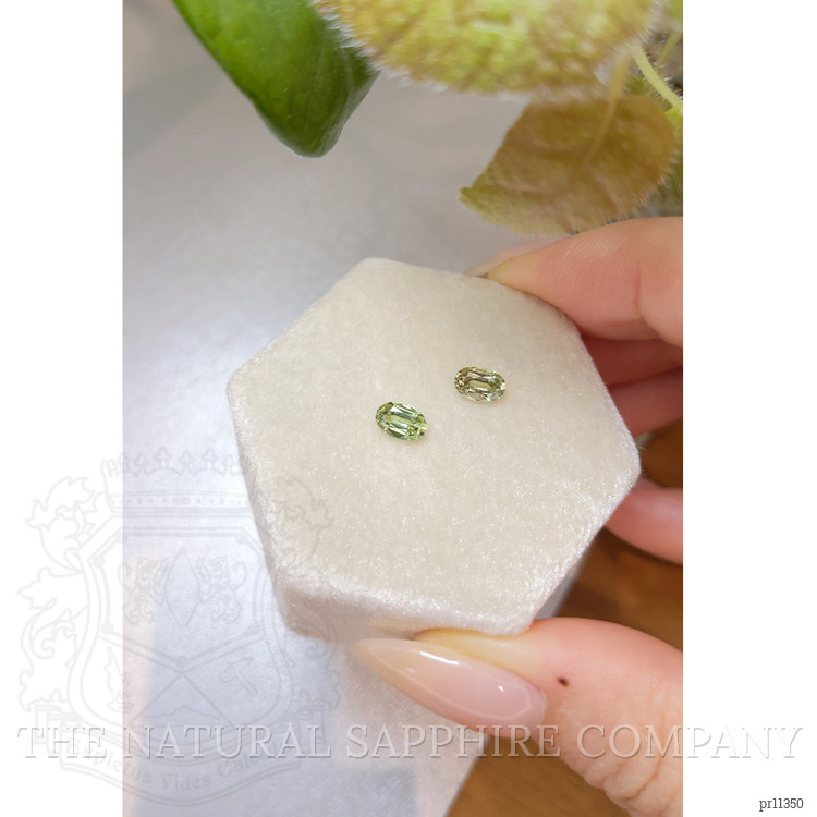 1.10 Ct.Tw. Alexandrite Pair from Ceylon (Sri Lanka)