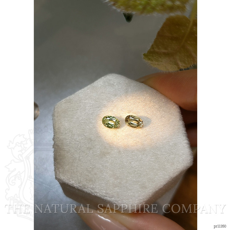 1.10 Ct.Tw. Alexandrite Pair from Ceylon (Sri Lanka)