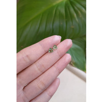 1.05&nbsp;Ct.Tw.Total Carat Weight Alexandrite Pair from Ceylon (Sri Lanka) Life Style