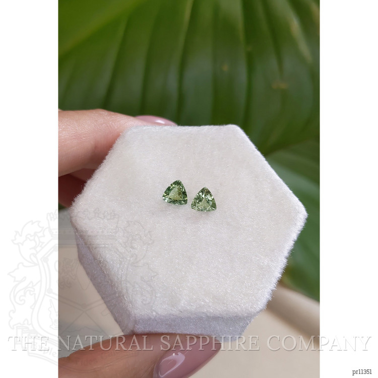 1.05 Ct.Tw. Alexandrite Pair from Ceylon (Sri Lanka)