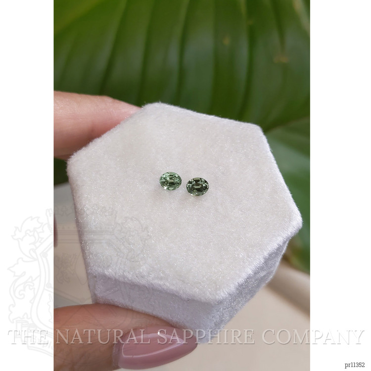 0.78 Ct.Tw. Alexandrite Pair from Ceylon (Sri Lanka)