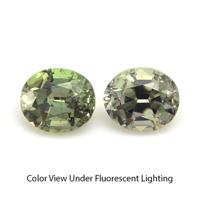 0.67&nbsp;Ct.Tw.Total Carat Weight Alexandrite Pair from Ceylon (Sri Lanka) Video