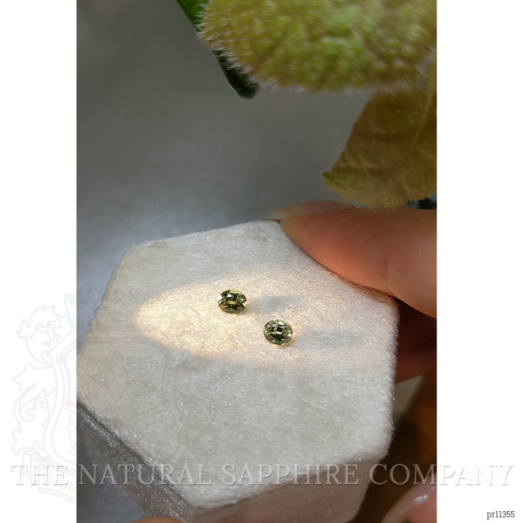 0.67 Ct.Tw. Alexandrite Pair from Ceylon (Sri Lanka)