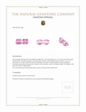 4.06&nbsp;Ct.Tw.Total Carat Weight Kunzite Pair from Afghanistan Appraisal