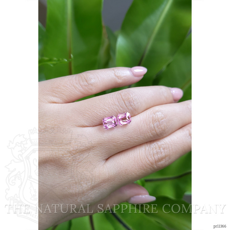 4.06 Ct.Tw. Kunzite Pair from Afghanistan