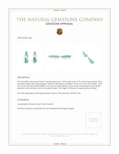 25.28&nbsp;Ct.Tw.Total Carat Weight Aquamarine Pair from Brazil Appraisal