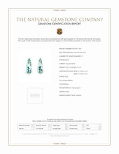 25.28&nbsp;Ct.Tw.Total Carat Weight Aquamarine Pair from Brazil Scan Report