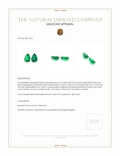 1.08 Ct.Tw.Total Carat Weight Emerald Pair from Zambia Appraisal