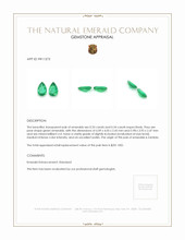 0.67 Ct.Tw.Total Carat Weight Emerald Pair from Zambia Appraisal