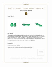 0.74 Ct.Tw.Total Carat Weight Emerald Pair from Zambia Appraisal