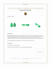 0.69 Ct.Tw.Total Carat Weight Emerald Pair from Zambia Appraisal