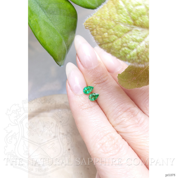0.69 Ct.Tw. Emerald Pair from Zambia