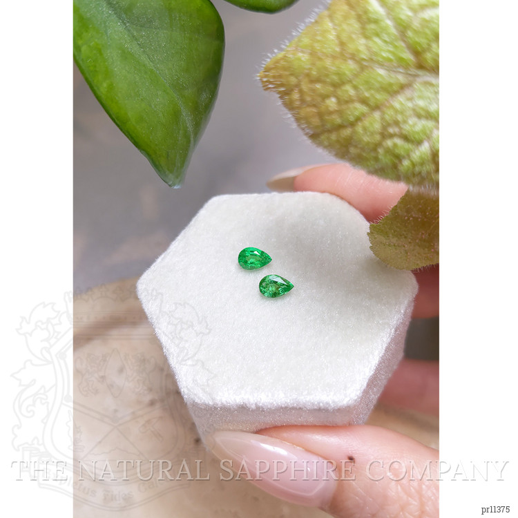 0.69 Ct.Tw. Emerald Pair from Zambia
