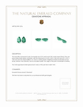 0.79 Ct.Tw.Total Carat Weight Emerald Pair from Zambia Appraisal