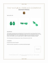 0.73 Ct.Tw.Total Carat Weight Emerald Pair from Zambia Appraisal