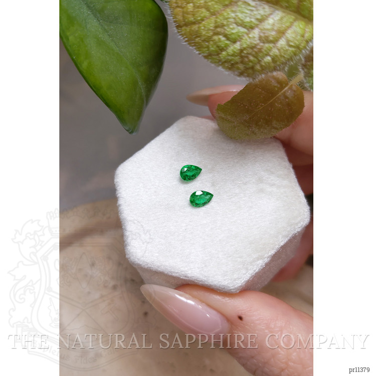0.73 Ct.Tw. Emerald Pair from Zambia