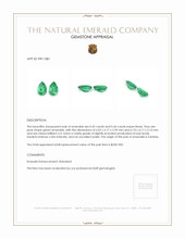 0.86 Ct.Tw.Total Carat Weight Emerald Pair from Zambia Appraisal