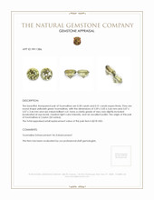 1.09 Ct.Tw.Total Carat Weight Yellowish Green Tourmaline Pair from Ceylon (Sri Lanka) Appraisal