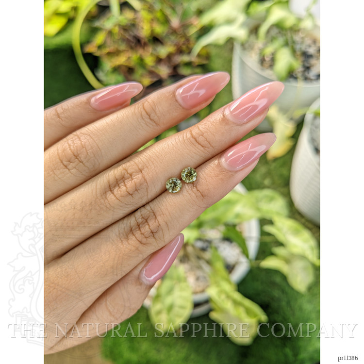 1.09 Ct.Tw. Tourmaline Pair from Ceylon (Sri Lanka)