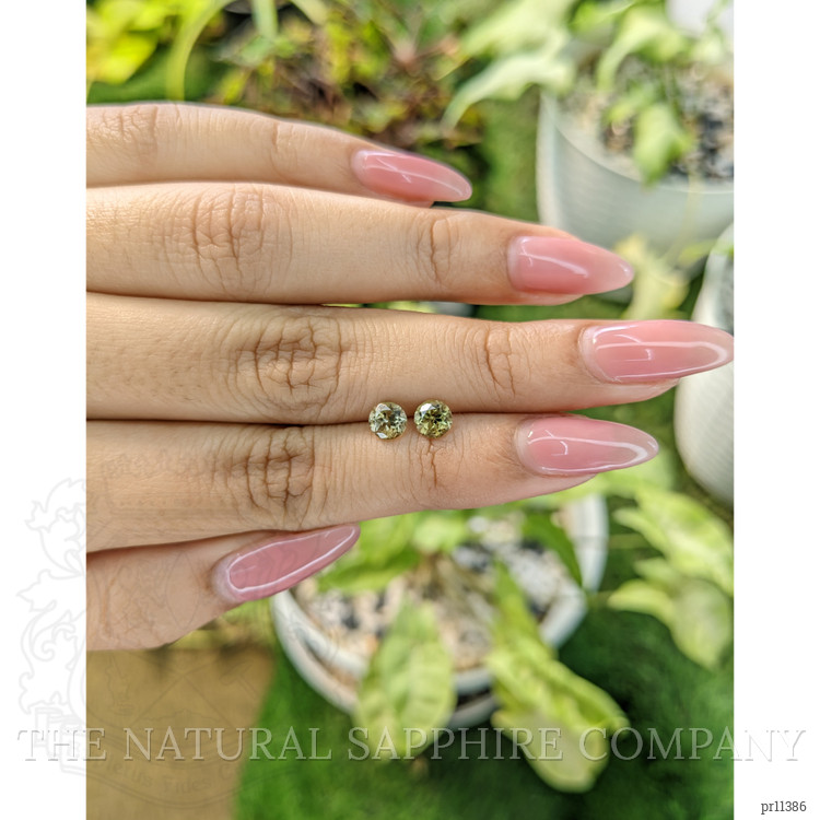 1.09 Ct.Tw. Tourmaline Pair from Ceylon (Sri Lanka)