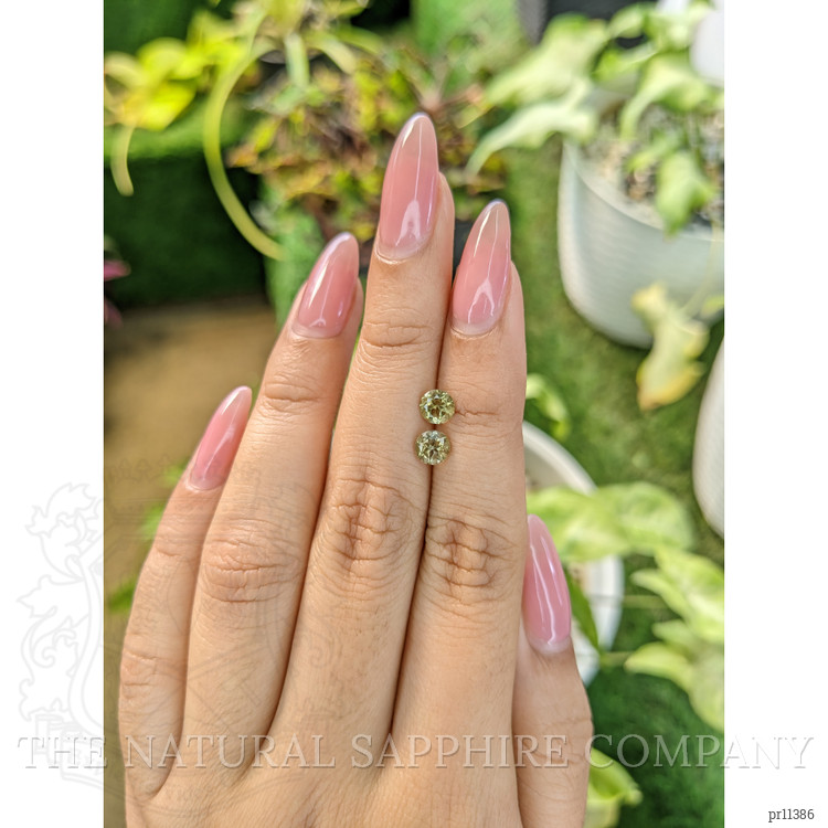 1.09 Ct.Tw. Tourmaline Pair from Ceylon (Sri Lanka)